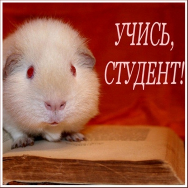 Поздравление с началом учебы Поздравление с началом учебы