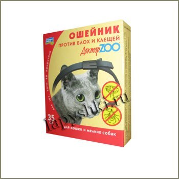 Ошейник от блох своими руками 56