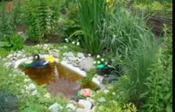 Пруд из старой ванны на даче фото Пруд из старой ванны на даче фото